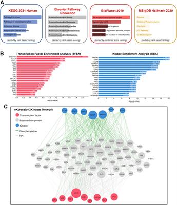 Emerging Role of Exosomal Long Non-coding RNAs in Spaceflight-Associated Risks in Astronauts